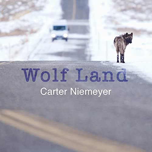 Audiobook cover 13