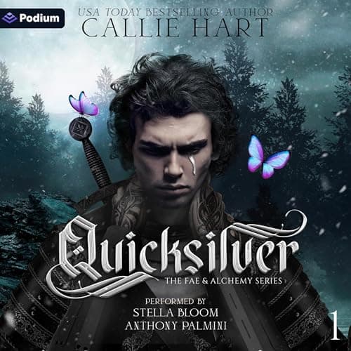Audiobook cover 22