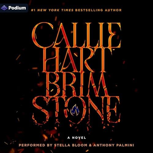 Audiobook cover 14
