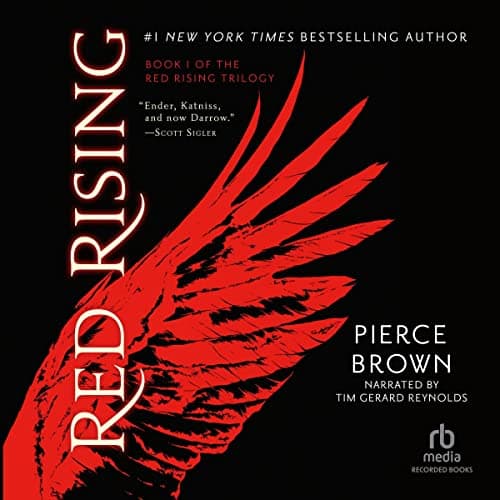 Audiobook cover 20